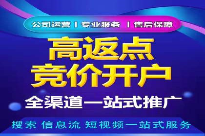 百度SEO推广案例解析与效果评估